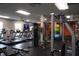 Well-equipped fitness center with treadmills and weight machines at 10312 Cleghorn Dr, San Antonio, FL 33576