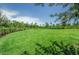 Expansive green lawn perfect for recreation at 12610 Rangeland Blvd, Odessa, FL 33556
