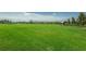 Large grassy field with a covered pavilion at 12610 Rangeland Blvd, Odessa, FL 33556