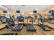 Fitness center with treadmills, elliptical machines, and free weights for residents' convenience at 3128 59Th S St # 214, Gulfport, FL 33707