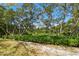 Serene waterfront view with lush vegetation at 7050 Sunset S Dr # 203, South Pasadena, FL 33707