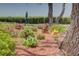 Landscaped area with colorful flowers and waterfront views at 308 Mariner Dr # 308, Tarpon Springs, FL 34689