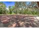 Outdoor shuffleboard court nestled under shade trees at 2612 Pearce Dr # 306, Clearwater, FL 33764