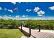 Wooden dock leading to the water with lush greenery at 13064 Via Flavia, Placida, FL 33946