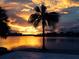 Silhouetted palm tree at sunset over water at 1884 Dolphin S Blvd, St Petersburg, FL 33707