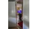 View of living room from doorway at 7643 Ginger Lily Ct, Tampa, FL 33619