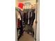 Spacious walk-in closet with ample shelving and hanging space at 7643 Ginger Lily Ct, Tampa, FL 33619