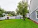 Green grassy backyard with a large tree and privacy wall at 2745 Enterprise E Rd # 24, Clearwater, FL 33759