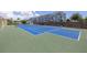 Blue tennis court with green perimeter at 4115 34Th S Way # 195, St Petersburg, FL 33711