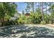 Outdoor basketball court with green surface at 17809 Sandpine Trace Way, Tampa, FL 33647