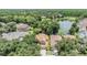 Aerial view of a house near a lake in a tree-filled neighborhood at 17809 Sandpine Trace Way, Tampa, FL 33647