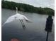 Elegant white egret in flight over the water, ready to land at 1964 Arvis E Cir, Clearwater, FL 33764