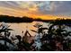 Picturesque sunset view over the water, framed by flowers and foliage, from the charming dock at 1964 Arvis E Cir, Clearwater, FL 33764