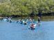 A group paddles in kayaks on the water, showcasing the community's recreational opportunities at 1964 Arvis E Cir, Clearwater, FL 33764