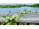 Close-up of jasmine over the railing, capturing the home's picturesque waterfront setting at 1964 Arvis E Cir, Clearwater, FL 33764