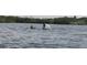 Watch wildlife, like this manatee, swim by in your backyard at 1964 Arvis E Cir, Clearwater, FL 33764