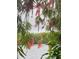 Lush greenery and Bottlebrush along the waterfront by this beautiful home at 1964 Arvis E Cir, Clearwater, FL 33764