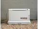 Generac brand standby generator at 7323 Night Heron Dr, Land O Lakes, FL 34637