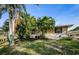 Tan house with ramp access, nestled in lush tropical landscaping near a lake at 1008 Caravel Ct, Tarpon Springs, FL 34689