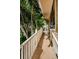 White-railed walkway leading to home, offering a serene view of tropical landscaping at 1008 Caravel Ct, Tarpon Springs, FL 34689