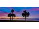 Stunning waterfront sunset view with palm trees at 50 Coe Rd # 311, Belleair, FL 33756