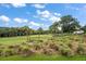 Picturesque golf course with mature trees and rolling greens at 50 Coe Rd # 311, Belleair, FL 33756
