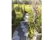 Stone pathway meandering through a vibrant, well-maintained garden at 1401 W Spencer St, Plant City, FL 33563