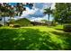 Well-maintained backyard with lush green lawn, mature trees, and privacy hedges perfect for outdoor activities at 10799 Harborside Dr, Largo, FL 33773