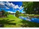 Backyard view with a peaceful pond featuring aquatic plants, a vibrant blue sky, and manicured green grass at 10799 Harborside Dr, Largo, FL 33773