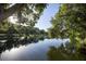 Peaceful lake view, reflecting trees at 2585 Bay Berry Dr # 43D, Clearwater, FL 33763