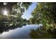 Scenic lake view with tree reflections at 2585 Bay Berry Dr # 43D, Clearwater, FL 33763