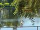 White ibis perched on railing, overlooking a peaceful lake at 2585 Bay Berry Dr # 43D, Clearwater, FL 33763