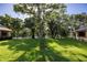 Sunny backyard with lush grass and mature trees at 2585 Bay Berry Dr # 43D, Clearwater, FL 33763