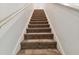 Carpeted staircase leading to upper level at 12235 Creek Preserve Dr, Riverview, FL 33579