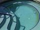 Clean and well-maintained community hot tub at 231 Tarpon Ln, Oldsmar, FL 34677