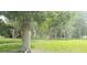 Community landscape with mature trees and grassy areas at 4714 Cavendish Dr, New Port Richey, FL 34655