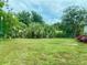 Fenced backyard with lush green grass and trees at 6196 Coralberry Ter, Port Charlotte, FL 33981