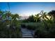 Peaceful walkway to the beach through dunes at 20052 Gulf Blvd, Indian Shores, FL 33785