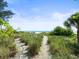 Private beach access path leading to the beautiful shoreline at 20052 Gulf Blvd, Indian Shores, FL 33785