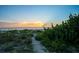Pathway leading to beach at sunset with lush vegetation at 20052 Gulf Blvd, Indian Shores, FL 33785