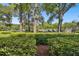 Lush green landscaping with manicured bushes and mature trees at 36750 Us Highway 19 # 23-110, Palm Harbor, FL 34684