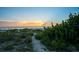 Beach path at sunset with vegetation at 20051 Gulf Blvd, Indian Shores, FL 33785