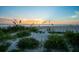 Stunning sunset over the beach with natural vegetation in the foreground at 20051 Gulf Blvd, Indian Shores, FL 33785