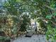 Wooden dock nestled amongst lush greenery leading to the water at 20051 Gulf Blvd, Indian Shores, FL 33785