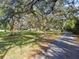 Private driveway lined with beautiful oak trees with Spanish moss at 10208 Grove Dr, Port Richey, FL 34668