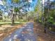 Driveway with tree-lined landscape at 10208 Grove Dr, Port Richey, FL 34668