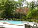Community pool surrounded by lush landscaping and lounge chairs at 201 Cypress Pond Rd # 201, Palm Harbor, FL 34683