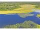 Aerial view of property near lake and lush vegetation at 13600 Ponce De Leon Blvd, Brooksville, FL 34601