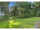 Spacious backyard with lush greenery and a large grassy area at 4300 Wheatland Way, Palm Harbor, FL 34685