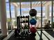 Bright gym area overlooking the pool area with an assortment of free weights and medicine balls at 777 3Rd N Ave # 908, St Petersburg, FL 33701
